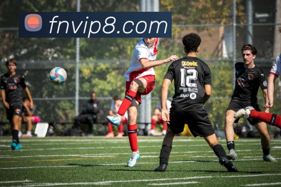 富牛娱乐官网服务体系